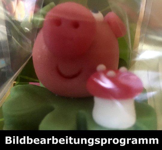 Foto bearbeiten mit dem Bildbearbeitungsprogramm